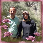 Gülşen
