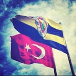 Nur