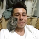 Arif