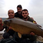 Tuncer