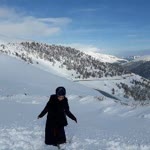Sibel