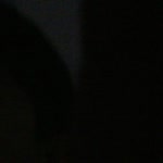 Talha
