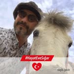 Mert