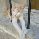 Adımı