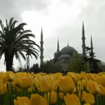 Fatma