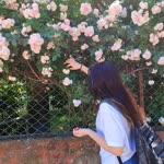 Beyza