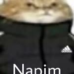 Hasanege