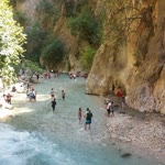 İnci