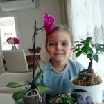 Semih