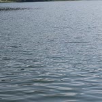 Huri