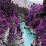 Alp