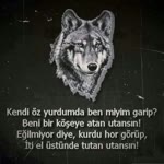 Siyah