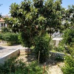 Deniz