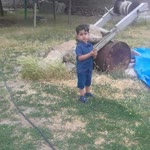 Serdar