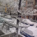 Orhan