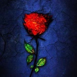 Umut