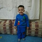Sibel