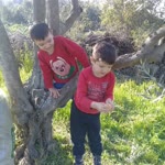 Aysun