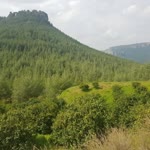 Şeyda