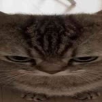 Berat