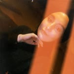 Feyzanur