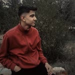 Veysel