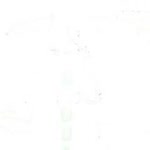 Gökalp