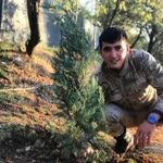 Halil