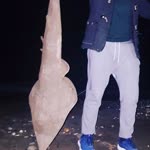 Balık