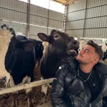 Aykut