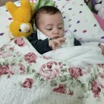 Damla