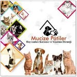 Mucize