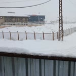 Bahri