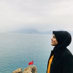 Nur