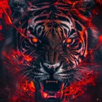 Sezer