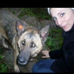 Sibel