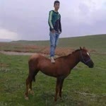 Kerem