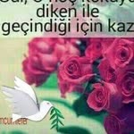Rabia