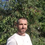 Ferit