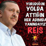 Şule