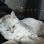 Zeynep