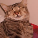 Basil