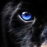 Ferhat