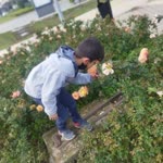 Ceylan