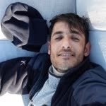 Şahin