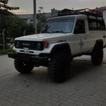 Halit