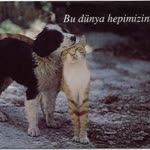 Ezgi