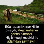 Eyyüp