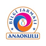Bilgi
