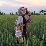 Nurgül